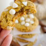 Best Pumpkin Cookies