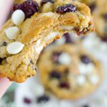 Soft and Chewy Oatmeal Cranberry Cookies