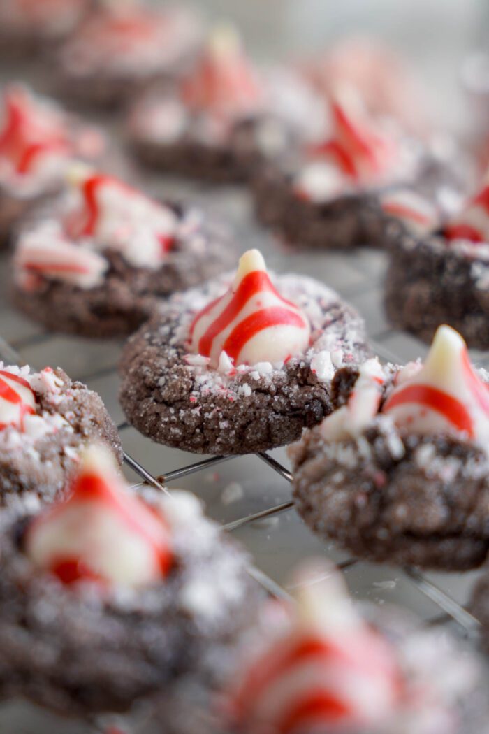 Peppermint Brownie Bites in rows