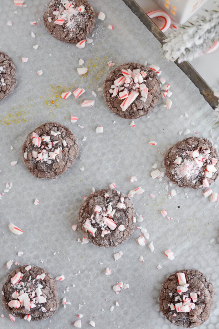 Peppermint Brownie Bites sprinkled with candy canes