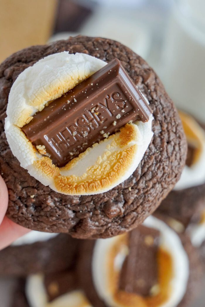 A close-up of a hand holding a s'mores cookie sandwich with a toasted marshmallow and a piece of hershey's chocolate.