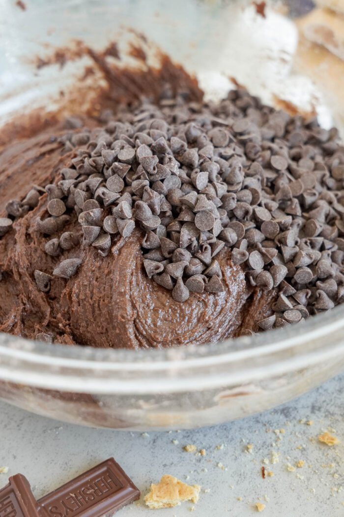 A bowl of chocolate batter topped generously with chocolate chips.