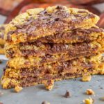 Easy Chocolate Chip Pumpkin Cookies